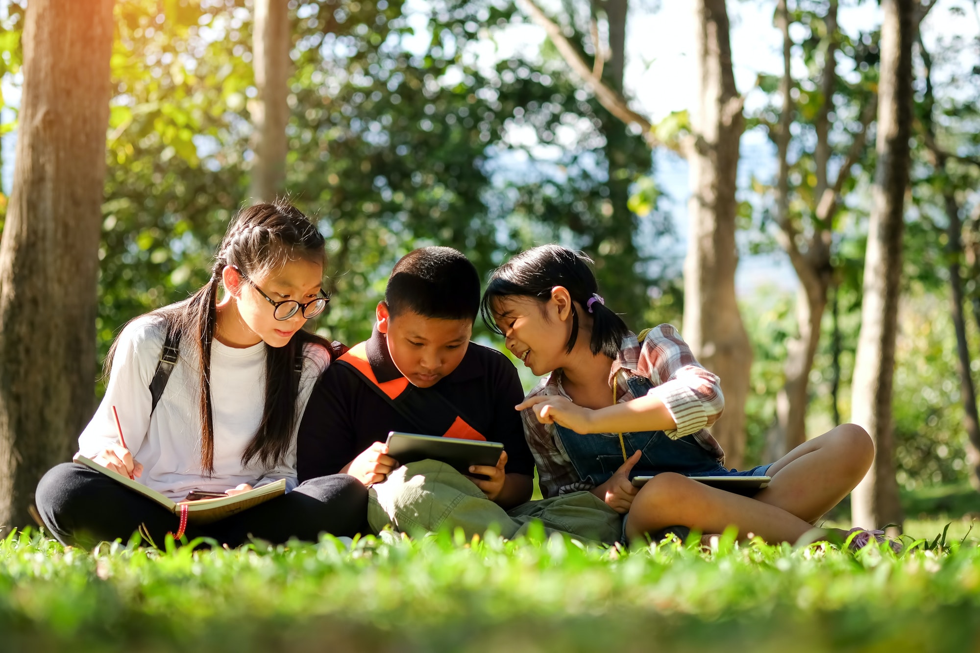 Asian children are playing a tablet in the park.